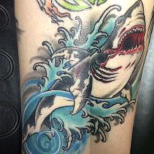 shark tattoo by Kevin Riley at Studio One Tattoo Norwood PA Philadelphia