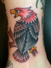 Traditional Eagle tattoo by Kevin Riley at Studio One Tattoo Norwood PA Philadelphia